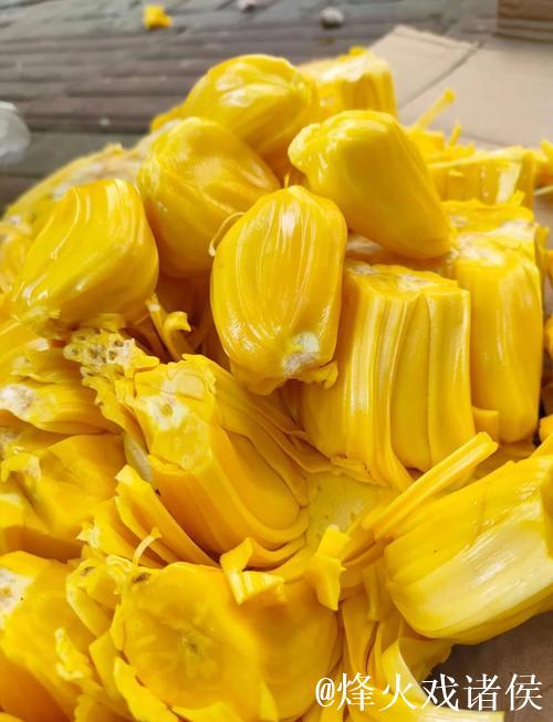 菠萝蜜免费在线视频