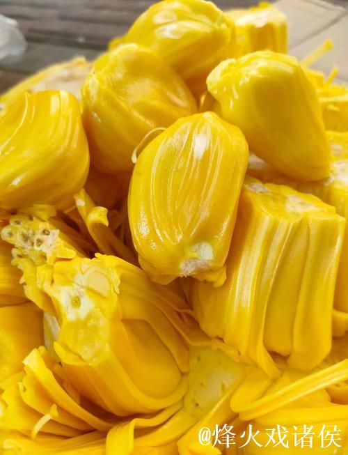 菠萝蜜免费在线视频